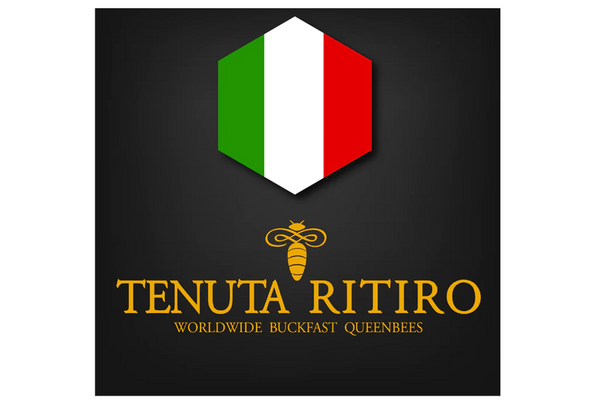 2024 Imported Buckfast Queen - Tenuta Ritiro, Italy - May 23rd