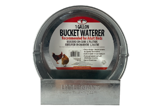 Galvanized 1 Gallon Bucket Waterer