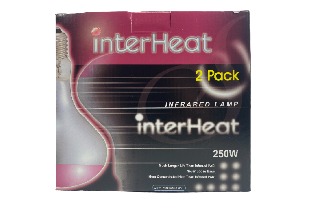 Brooder Lamp Bulbs - 2 Pack – Country Fields Beekeeping Supplies