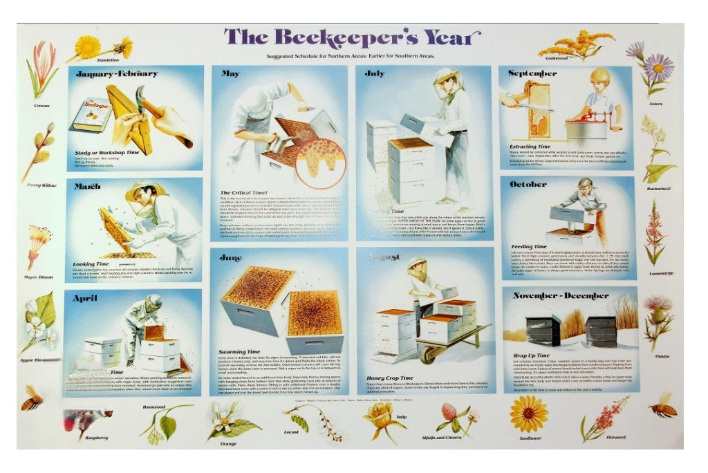 The Beekeepers Year Poster