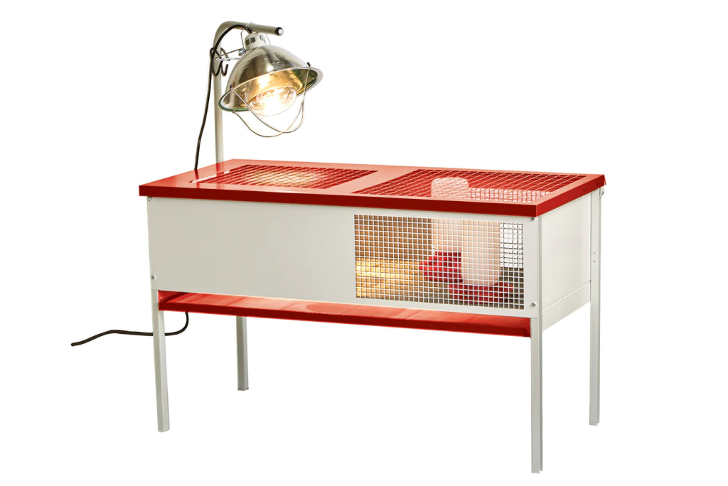 Brooder Kit – Country Fields Beekeeping Supplies