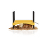 EcoGlow 600 Chick Brooder