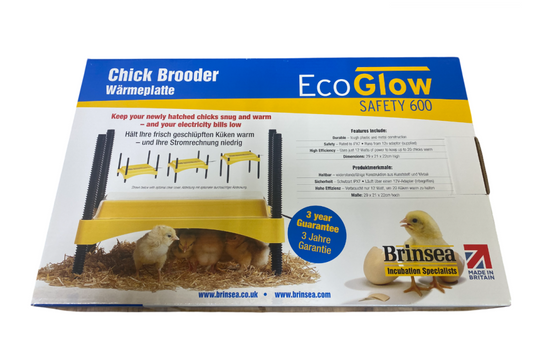 EcoGlow 600 Chick Brooder