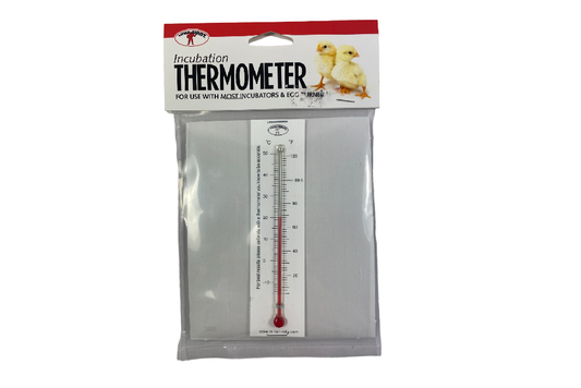 Incubation Thermometer