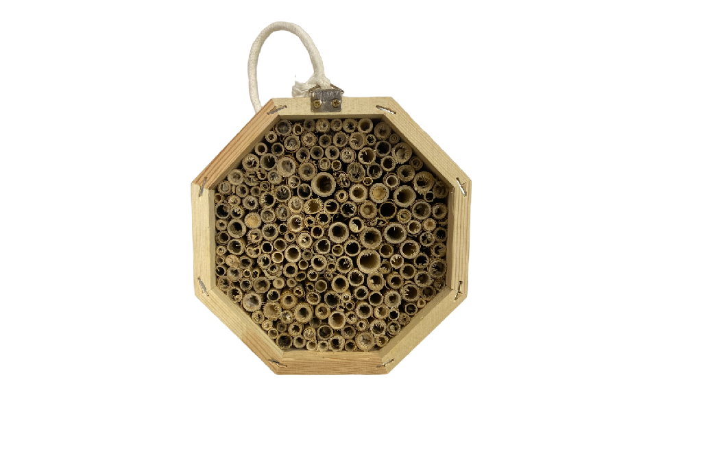 Pollinator House