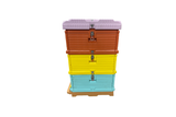 Thermo-Plastic Beehive