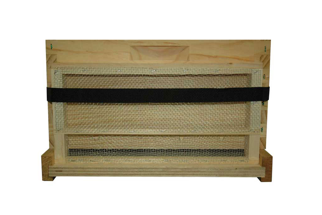 10 Frame Moving Screen