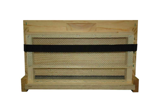 10 Frame Moving Screen