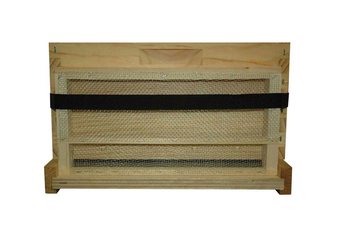 10 Frame Moving Screen