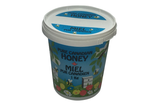 1kg Plastic Cartoon Honey Tubs