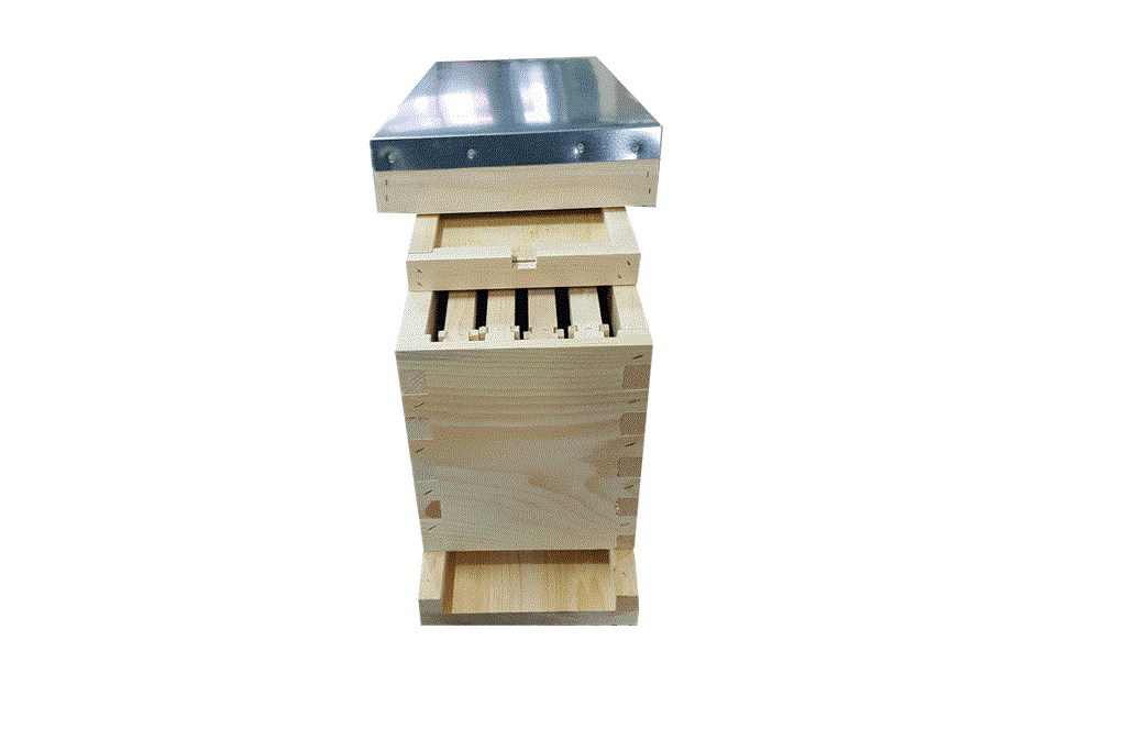 Deluxe 4-Frame Nuc Box Kit