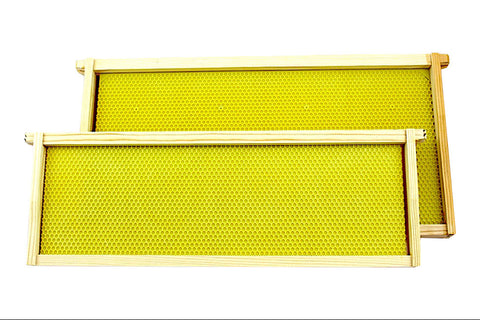 Assembled Deep Wooden Frame with wax coated foundation