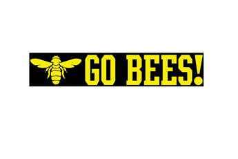 Go Bees - Bumper Sticker