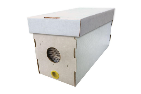 White Waxed Nuc Box