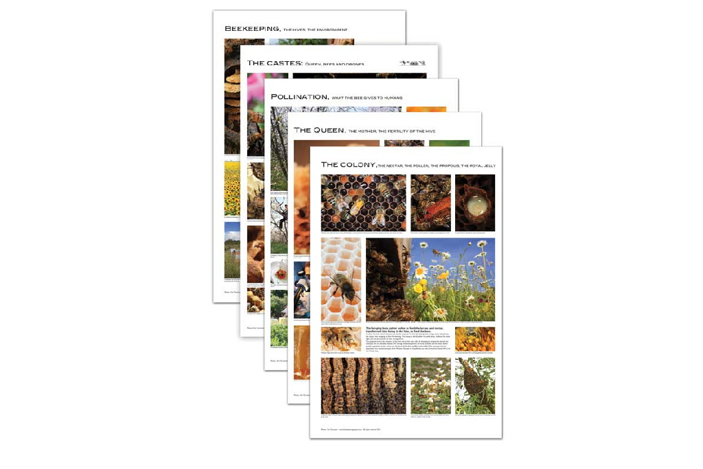 Beekeeping Poster Set Country Fields Beekeeping Supplies