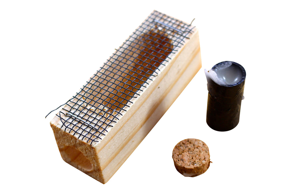 California Queen Cage Country Fields Beekeeping Supplies